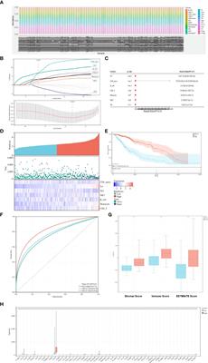 Identification of prognosis-related gene features in low-grade glioma based on ssGSEA